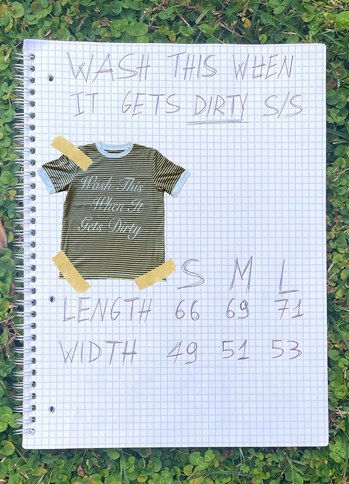 Wash This When It Gets Dirty Tee